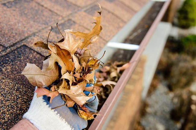 Cleaning Blocked Gutters in Bromley