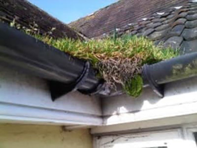 Cleaning Blocked Gutters in Meopham